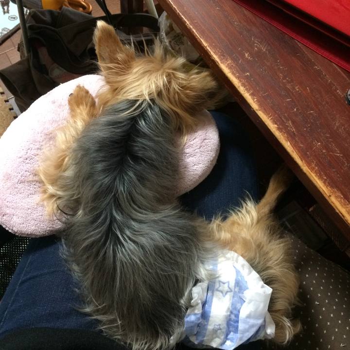 C97f48e2 21a6 4be6 beab 9c8a90a2d607