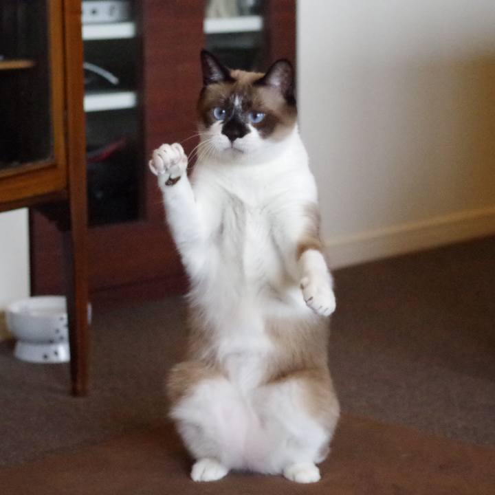 C97f5449 947c 40e4 8cbf 7923526aea2e