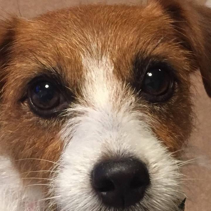 C97f8b50 605c 4dba 96cb b12797ec6949