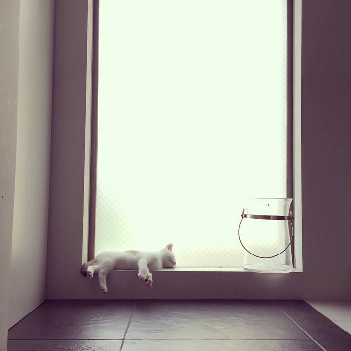 C97f8e54 e216 4ddc 8cbb 95110d6456e8