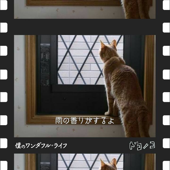 C97f942a 728b 4c0b 88e4 d73937865dbd