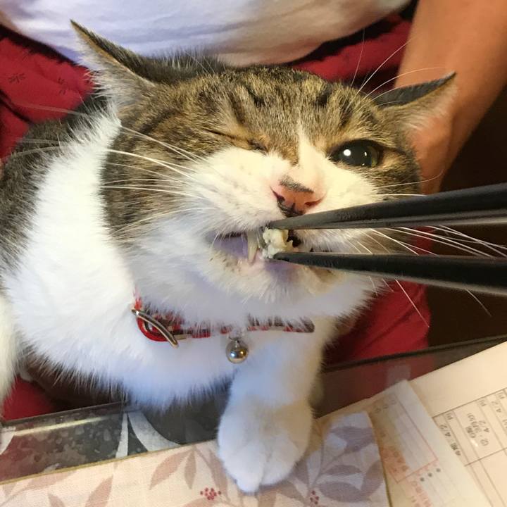 C97fa5a6 509b 4fe7 8a18 8c2762ff414f