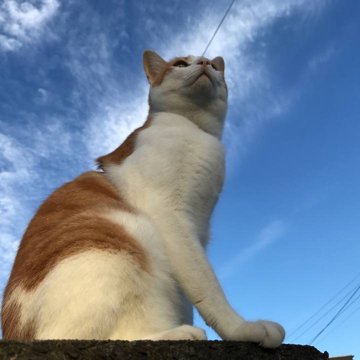 C97fe1f3 7227 4a82 b1f0 64c82ee860ce