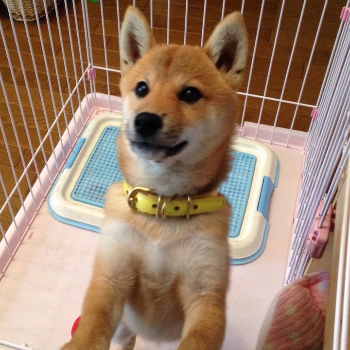 C98026fa a28e 46bb 9732 f2f93df9888e