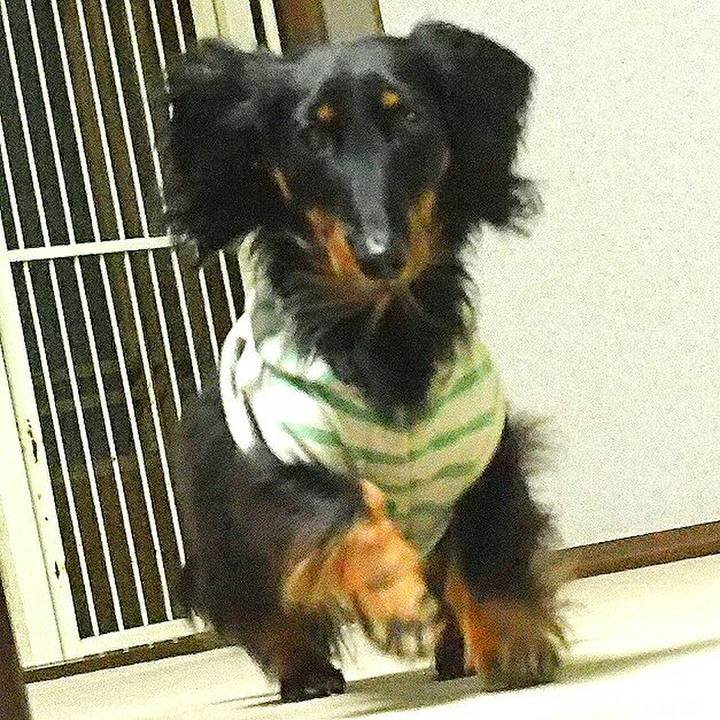 C9804214 5823 4baf 9ee7 8e6ddf2a212d