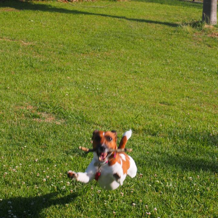 C980b843 69da 43f7 9a3f c78c2423425f