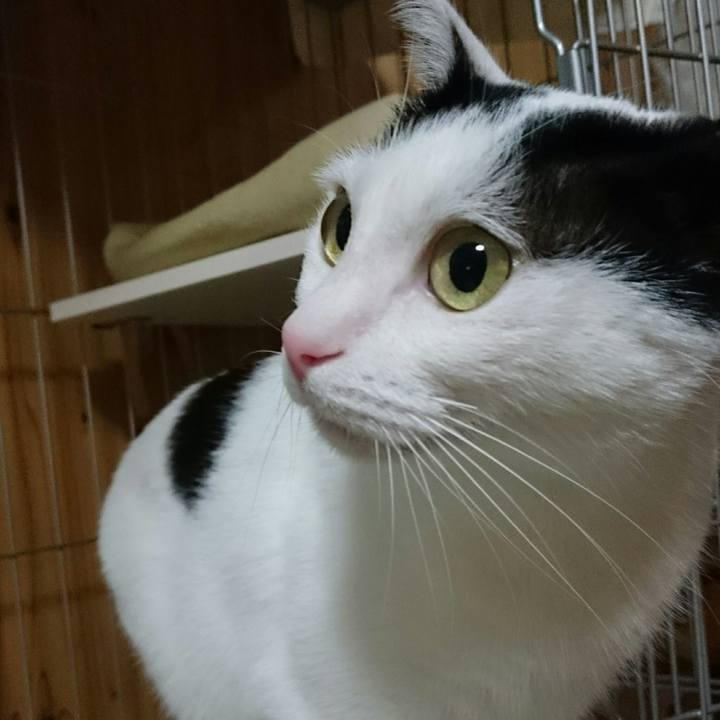 C98130a4 8862 468b 9cbe e0f68b0f7d16