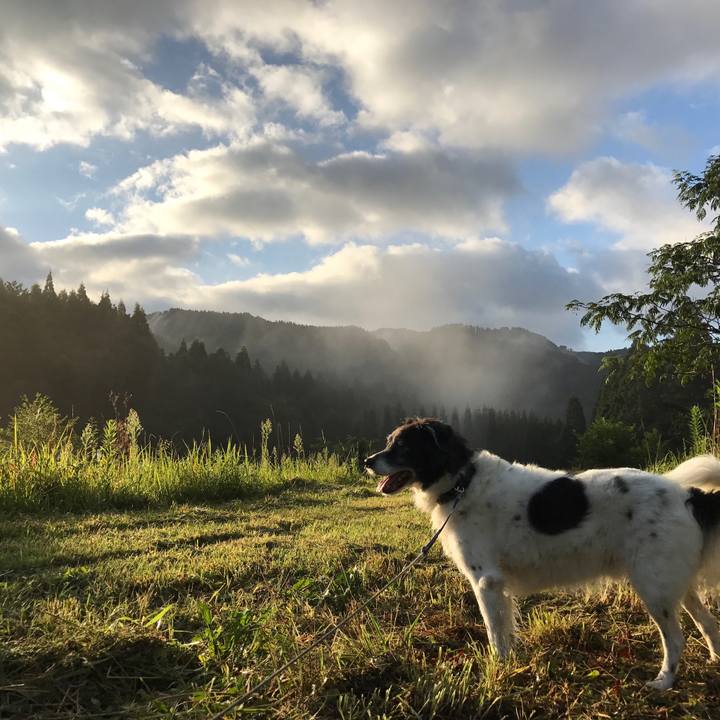 C9813d68 e4f7 482e 97ea 27e8ac5b2936