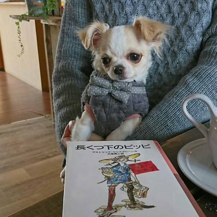 C98267c0 07cf 483d 9ecd d88b71e848da