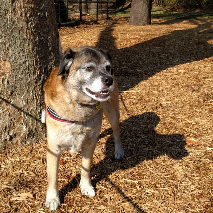 C982eb8c 116e 4d0e aba8 be143ecb2e3f