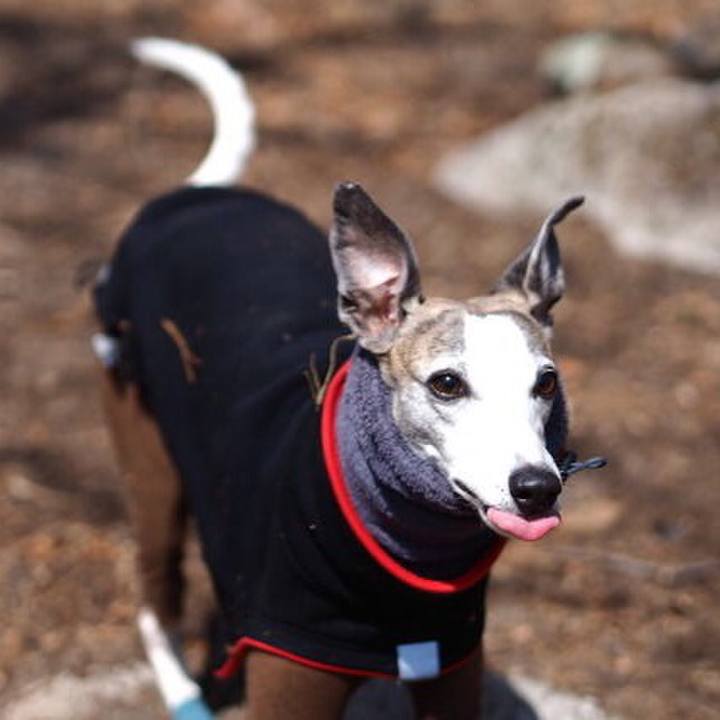 C983783d 09aa 4c10 975e 7af9e3045df0