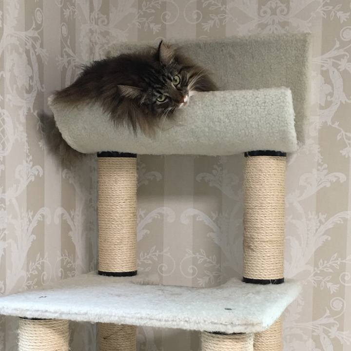 C983e4d2 5224 4779 bb1b 810b02bfd294