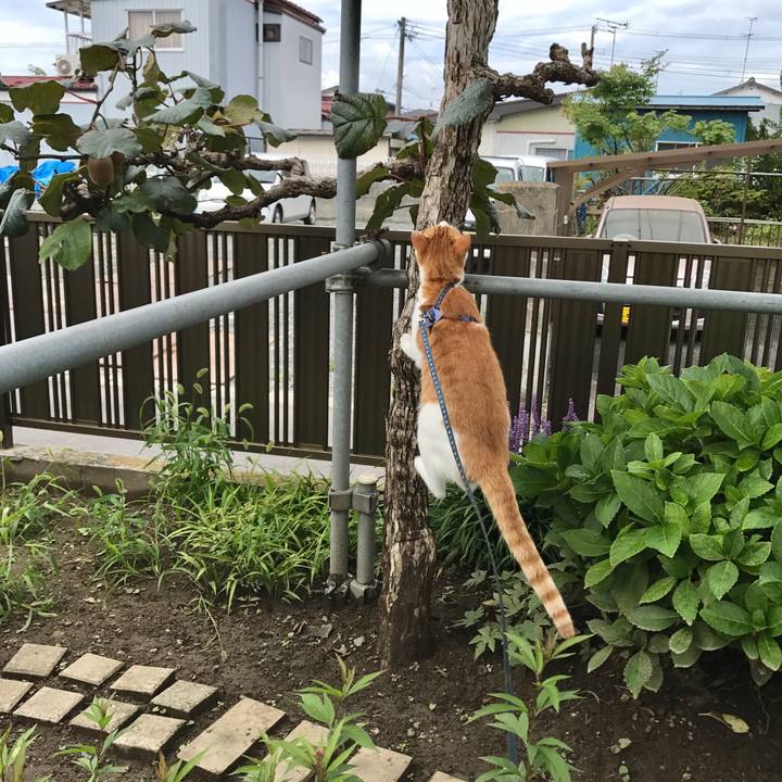 C9841bdb 01c7 4e5a a1d3 37f427455539