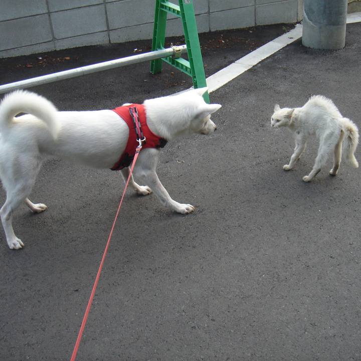 C98432ba 9ad5 4ebf 825f 4eb936ee7ebe