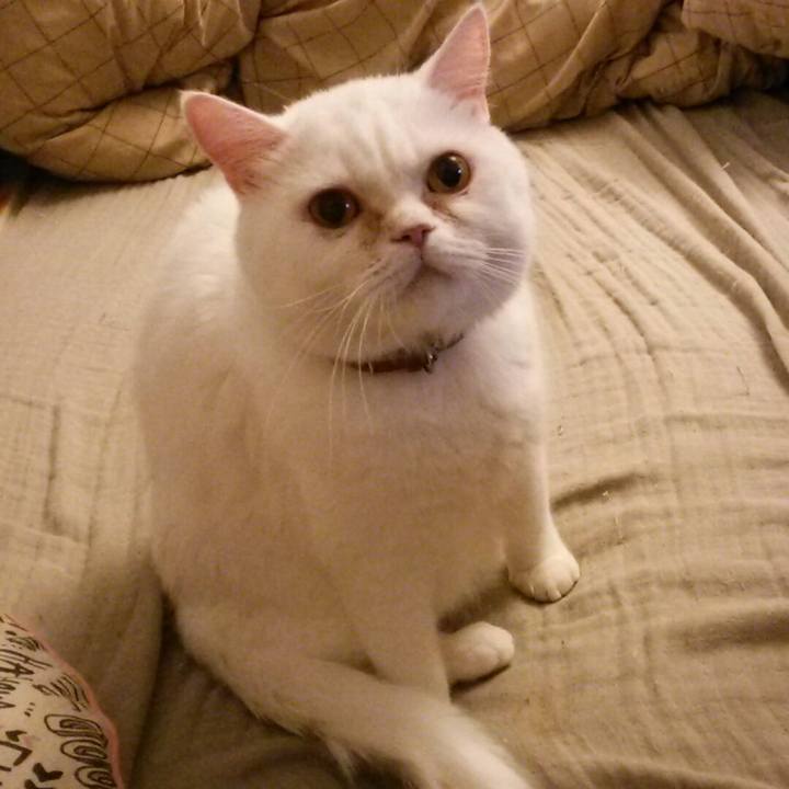 C9849310 f0f9 4b1a 8e61 0920dd591a0c