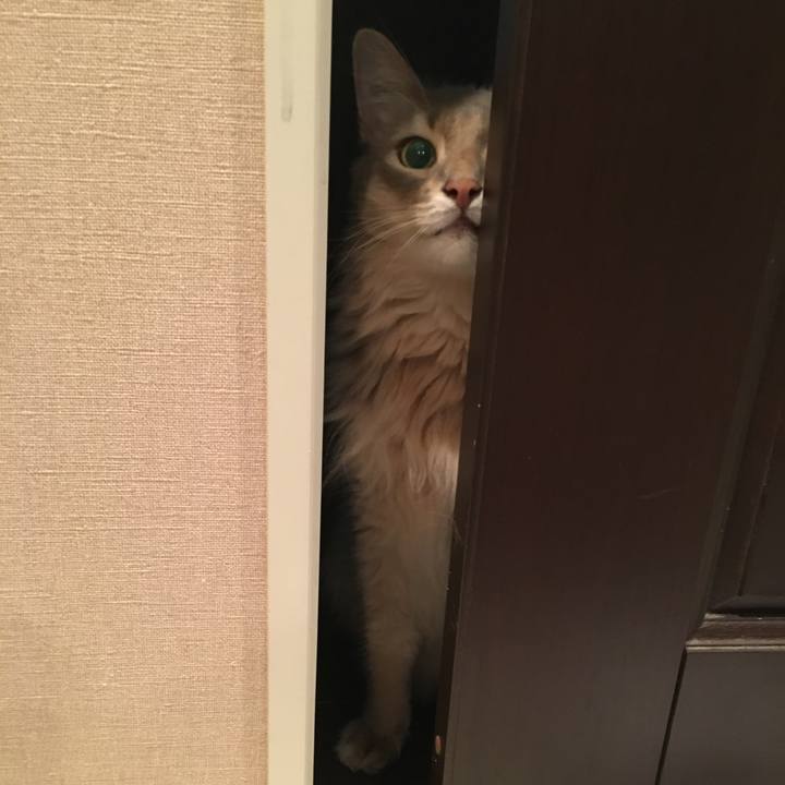 C98566cb b980 43ee af3d 080966adc0fa