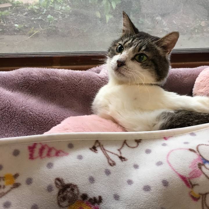 C986252e a534 4b96 b948 805aeaa2e78b