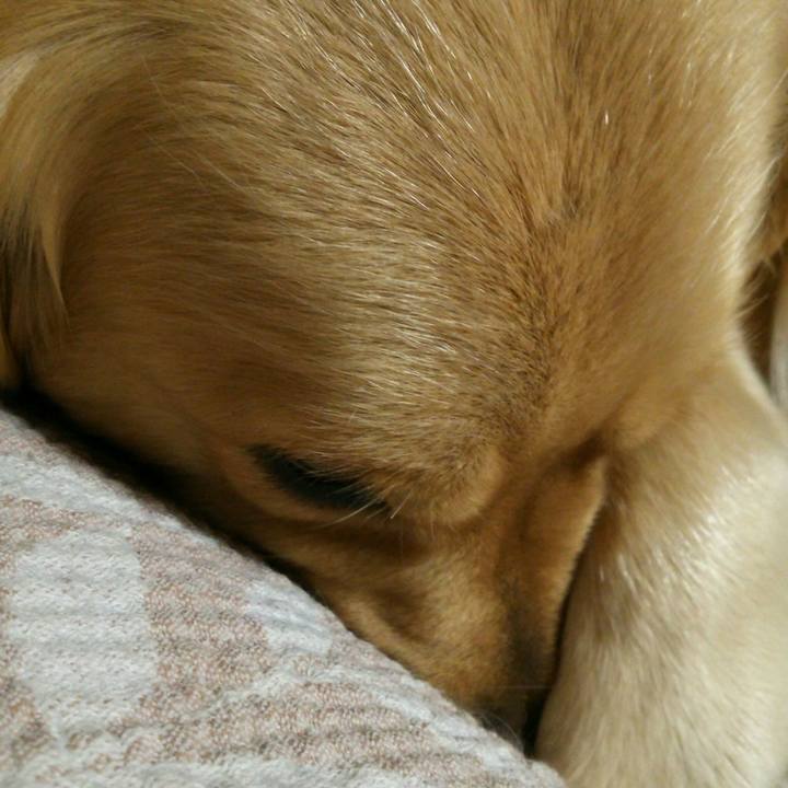 C986fb85 c18f 4b14 a497 7625107e0384