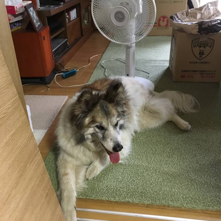 C987386d 3f31 4cea 9862 e18956f7a6f9