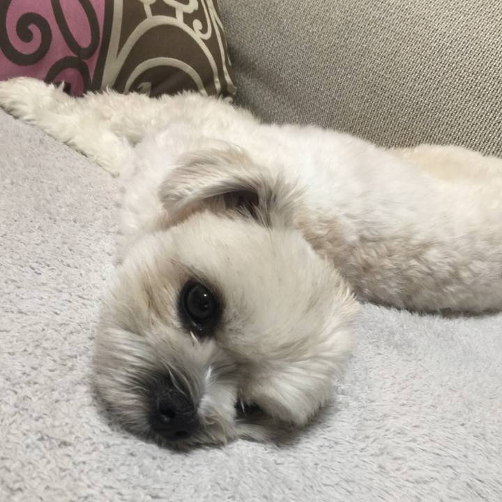 C987bf97 7b62 4d15 a849 027315213c54