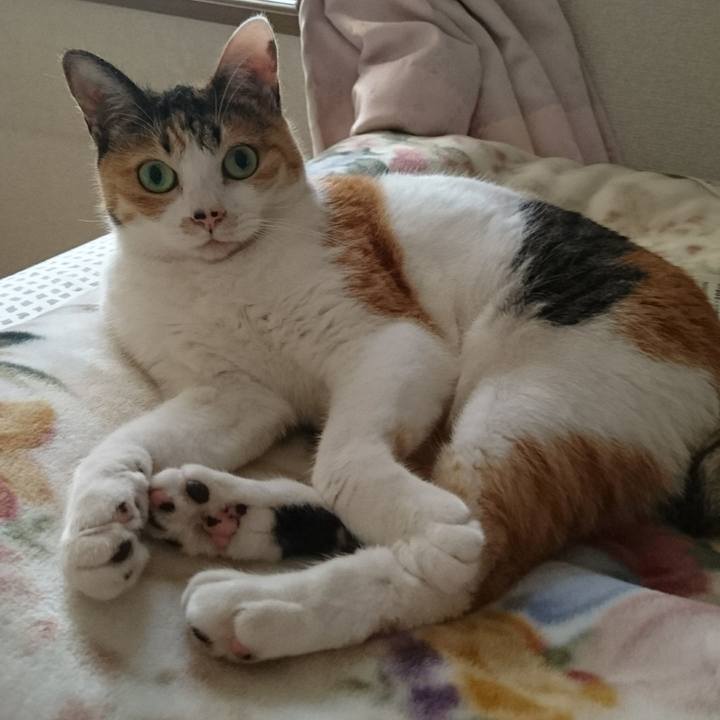 C987c219 48d8 4d27 8c12 6d4f7325c07d