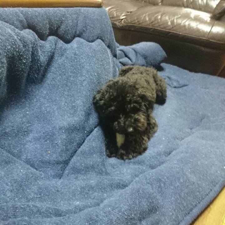 C988c10a f288 4dc2 a550 57584123ce00