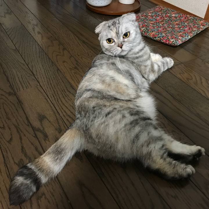 C988d9e3 8eca 41df b26c f092d77a60d5