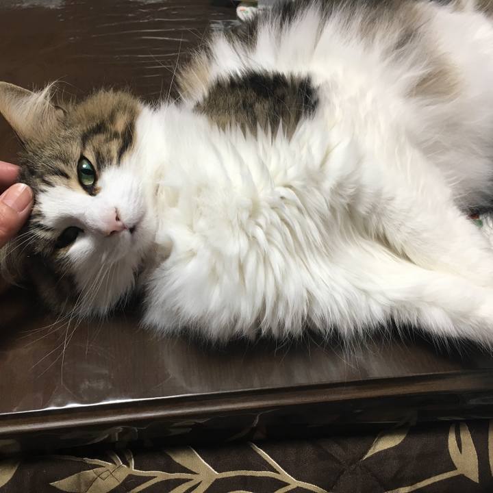 C9898492 8a7b 4f26 bdfc 1433031a0456