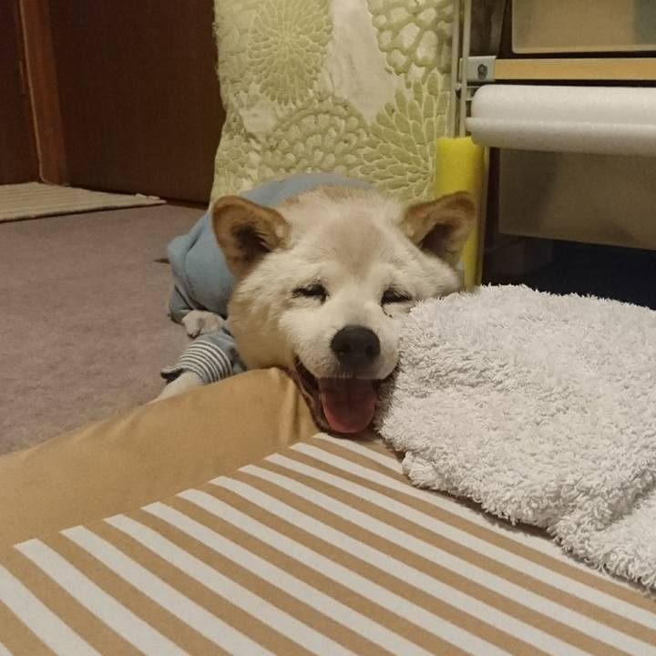 C989c760 2ab1 4537 8b47 f61415dbfe22