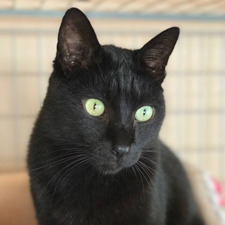 C989f85f 6844 486b b270 79d3cf456506