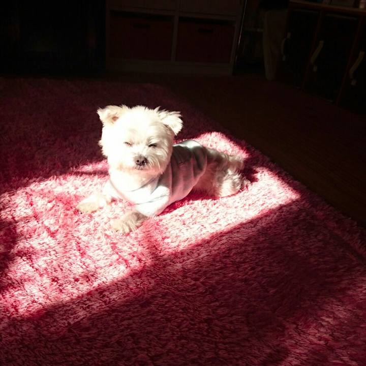 C989fe3f cbff 4329 b20c 969078d6410c