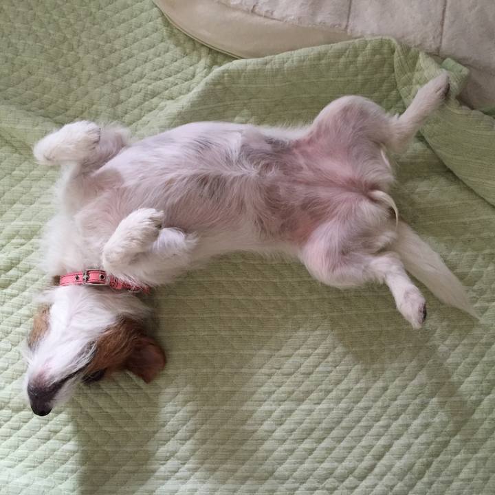 C98ab87d 1c49 4ee8 847a 787fe76fca89