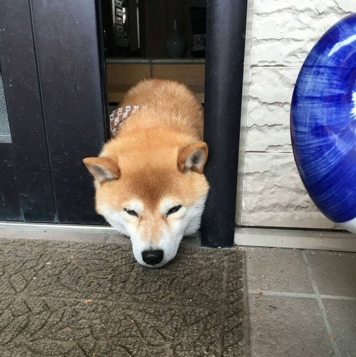 C98af1f1 f372 454b a2e0 01e36c5a9623