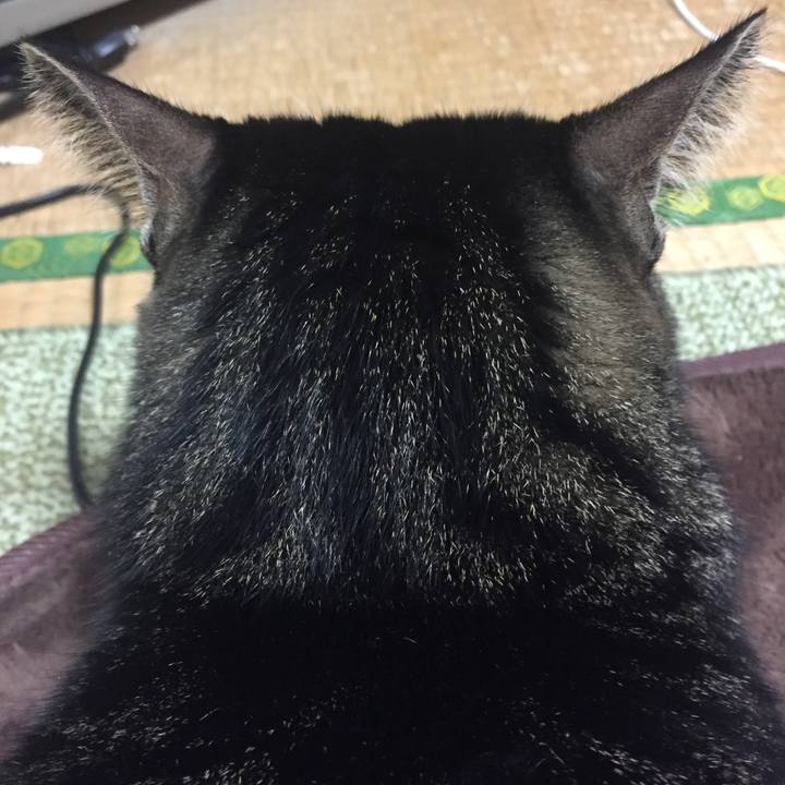 C98b016b 90a2 4d5f b4a9 883c85d5df86