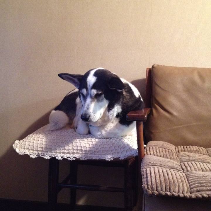 C98b6282 168a 470d 8744 ca6ce01dd690