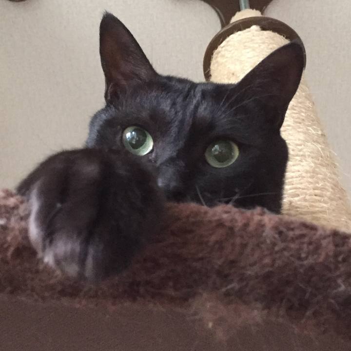 C98bacba 72b0 49d6 b1aa 1dc67f1fc34e