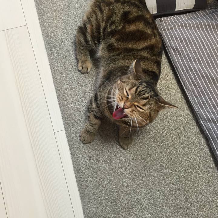 C98be4e3 9c98 4d0b 937f 8be0835b61bc