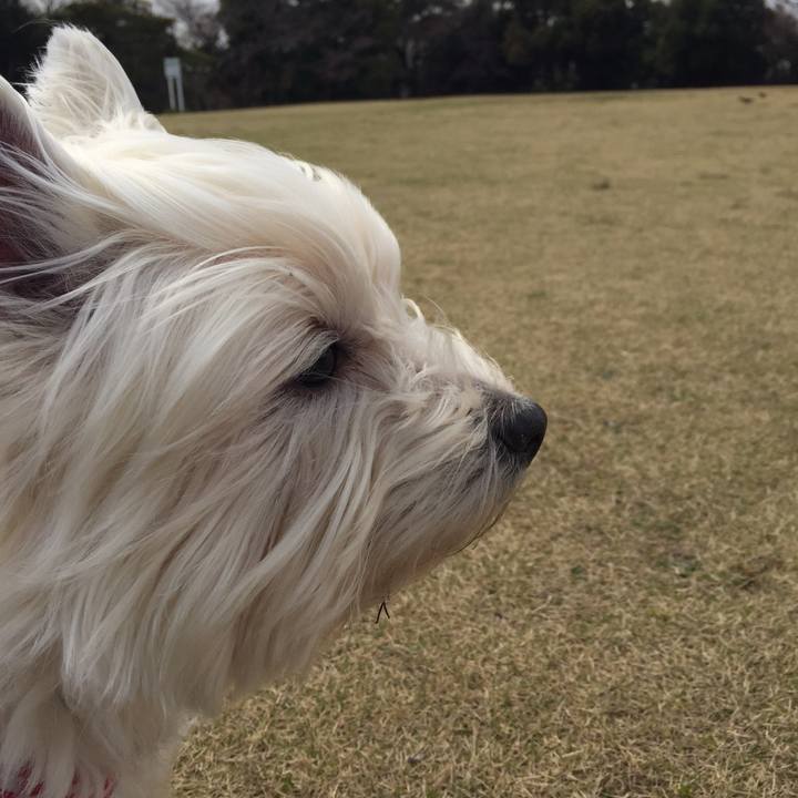 C98bf0eb d667 49cf 88de 60c43a70cffe