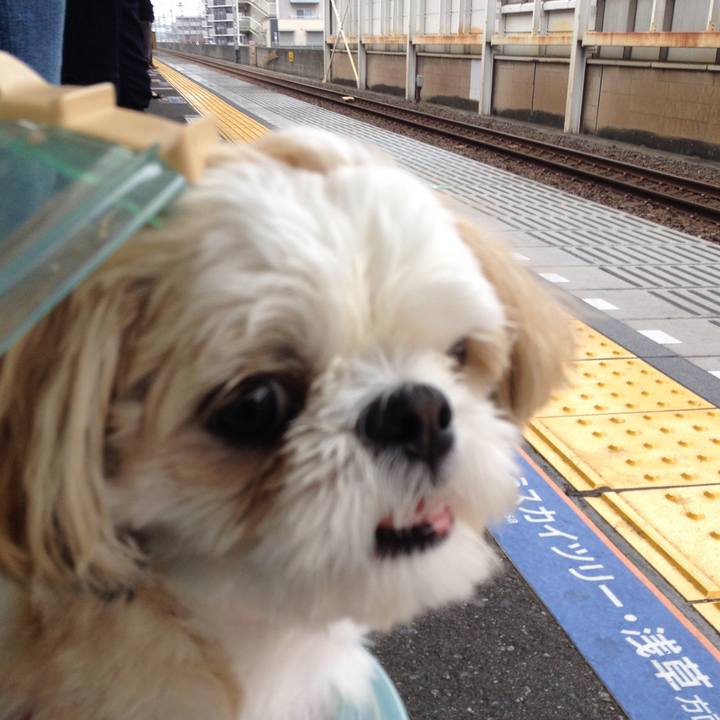 C98c4bfc 694f 4af4 8eaf 4e2e4d308d96