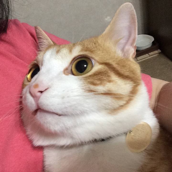 C98cb6e4 5191 4533 9afd 12a2ac8d16e6