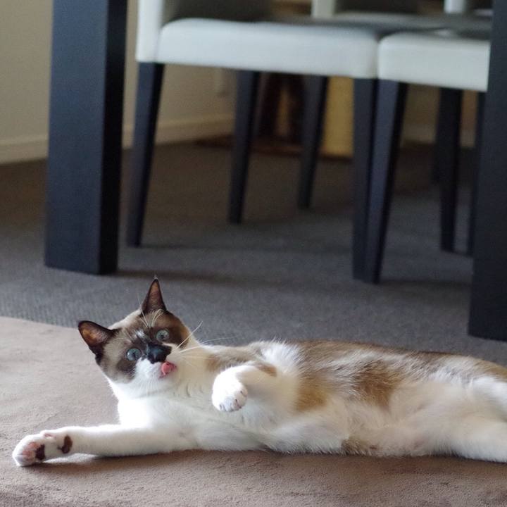 C98d6530 0ebd 4d09 ba63 608c2b875843