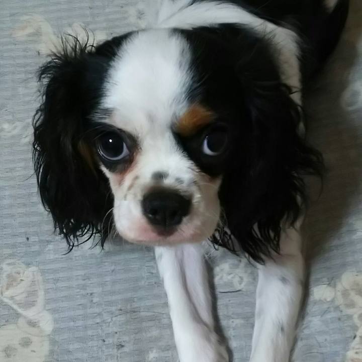 C98d66f5 f2fa 40c4 a131 6315eb7c9c0b