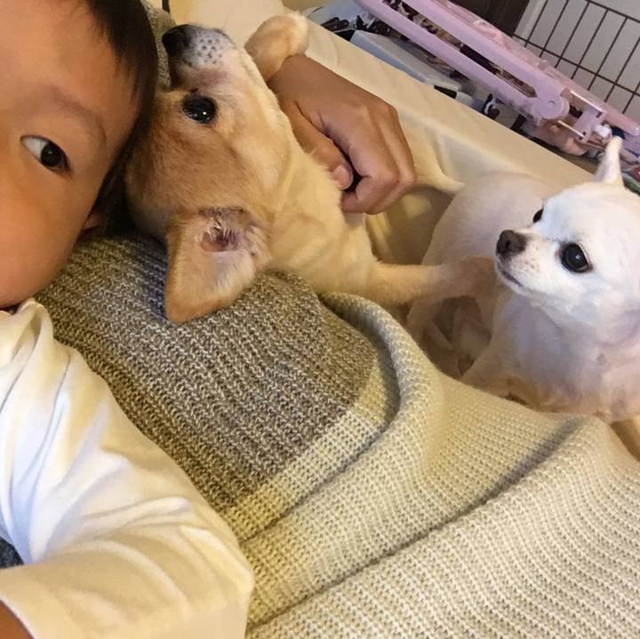 C98e2450 ca7c 4d13 b37d 3c4694c01f95