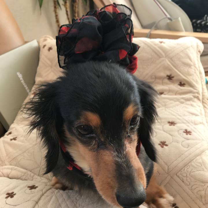 C98e352f 3a63 4168 a923 90eb4396ae54