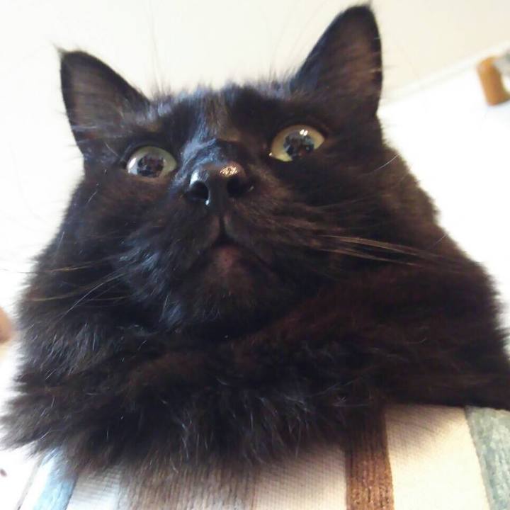 C98f5bf9 e5c6 4242 8338 d865a9f7178a