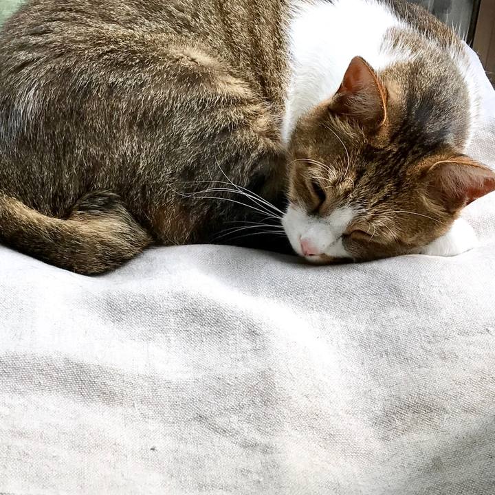 C99004b1 f32b 4f10 98df 850a1a5b2470