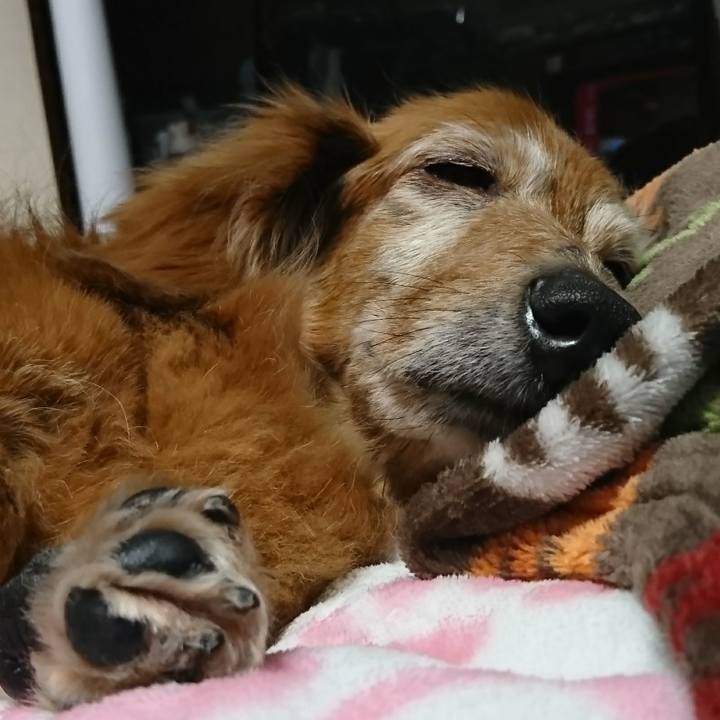 C99085de 570b 456e 8b7a 3e2fa1f1ec26