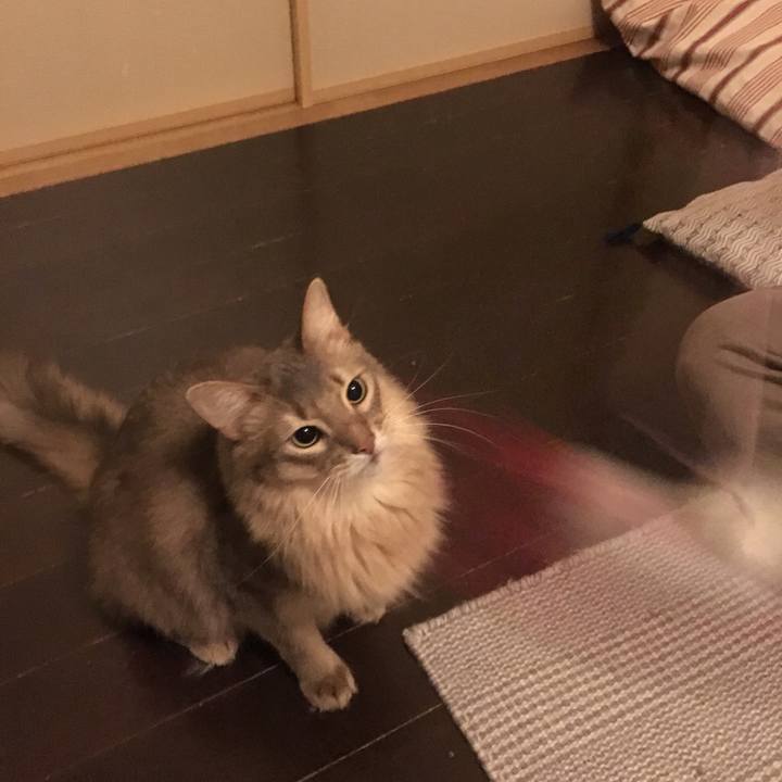 C9911ee1 5d36 4afb 8320 192e347346e4