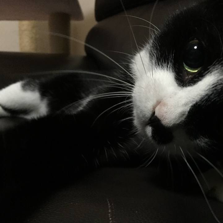 C992346d 3330 4a85 9359 1652ec9298d9