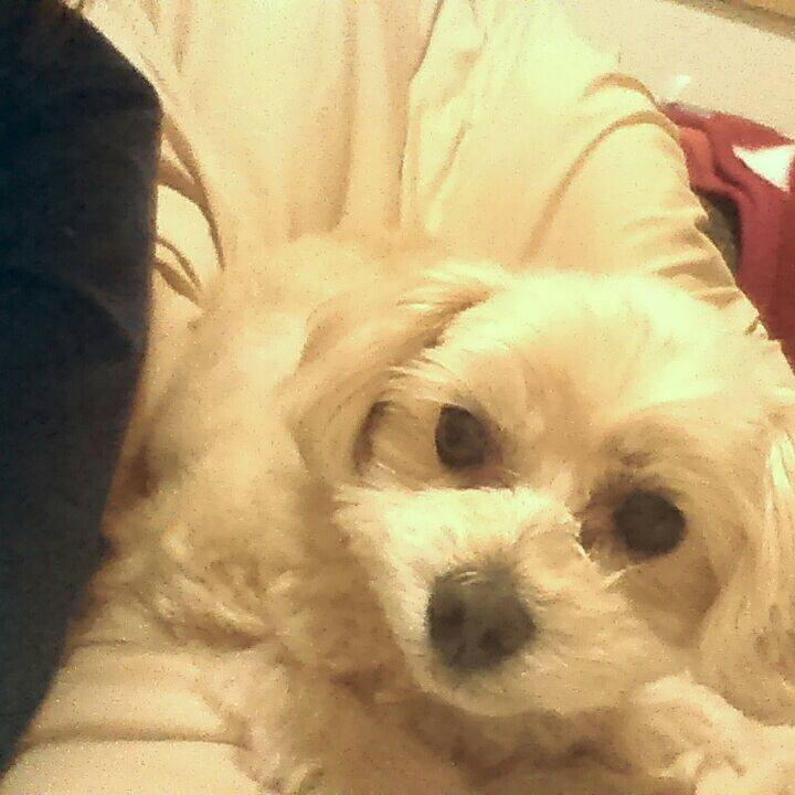 C9928290 d4d3 4c79 9ed2 73a4060dfafe